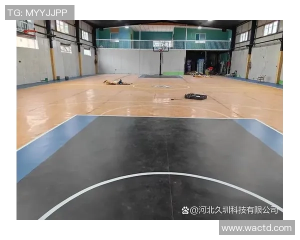 地下室篮球场木地板的选材与维护技巧分享让你的运动空间更舒适